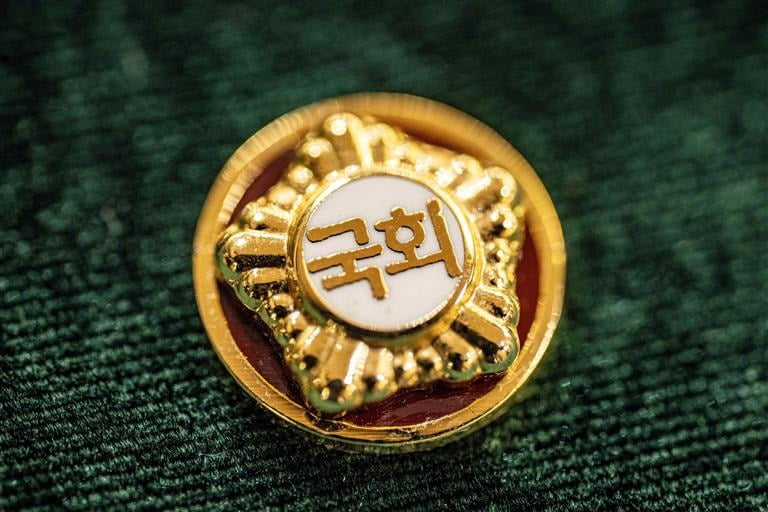 22대 국회의원 배지. / 사진=연합뉴스