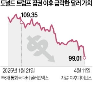 관세 자충수…달러패권이 흔들린다