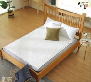 일월, 온수·전기매트, 美·유럽서 인기