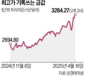 "앞으로 더 폭등" 파격 전망…트럼프 쇼크에 난리난 '투자처'