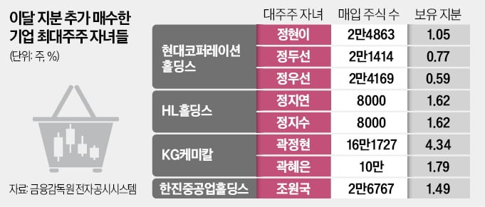 KG·HL·대신證 등 오너 자녀, 급락장에 지분 확대 나섰다