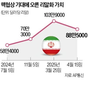 美 경제 제재 완화 기대에…이란 리얄화 가치 15% 급등