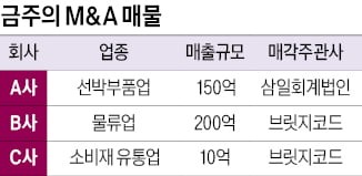 매출 150억원 조선·선박 부품업체 매물로