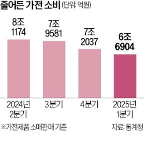 TV·냉장고 안 바꾸네…가전 소비, 5년 새 최소