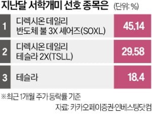美 반도체 쓸어담은 개미…수익은 '마이너스'