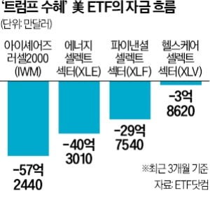 "재선 효과 끝"…트럼프 수혜 ETF서 8조 탈출
