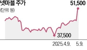 게임株 부진 속 호실적…넷마블 '나혼자 레벨업'