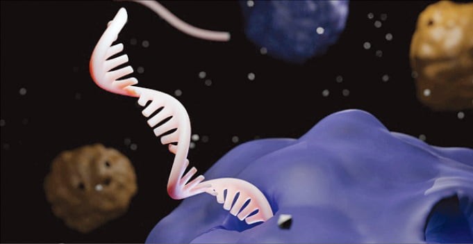 [책마을] RNA는 어떻게 21세기 생명과학 중심에 섰나