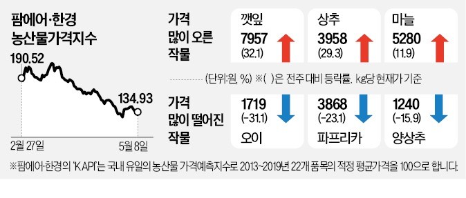 쌀쌀한 날씨에 생육 더뎌…깻잎·상추 급등