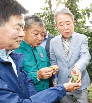 강호동 농협회장, 밀양 우박 피해 점검