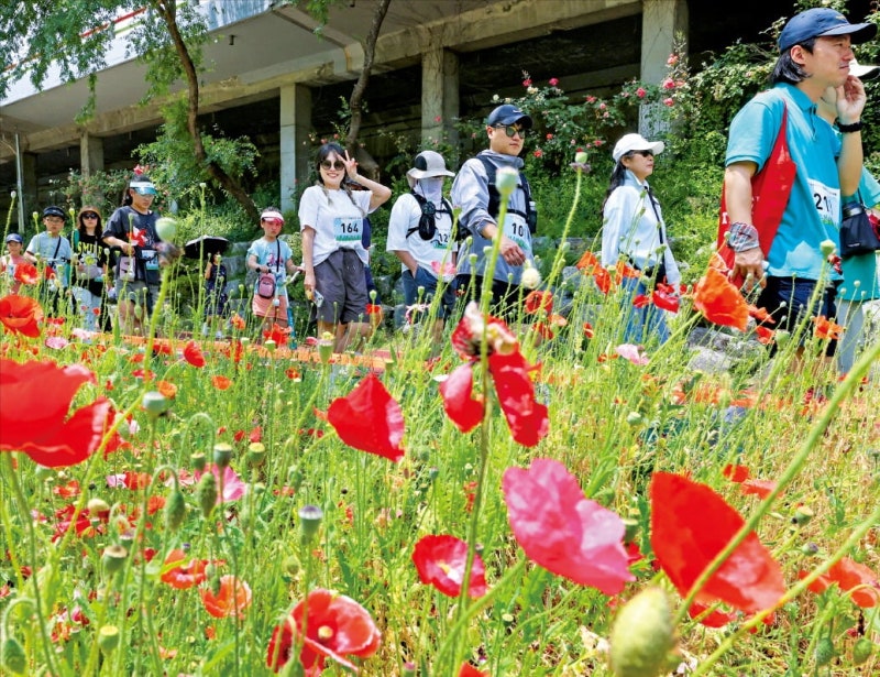 [포토] 월드컵천서 축제 즐기는 시민들