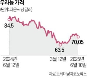 美 원전 부활 외쳐도…우라늄값 잠잠