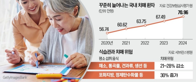 지중해식 고품질 식단, 치매 발병 위험 낮춘다