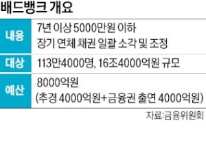 '배드뱅크' 재원 절반, 전 금융권이 함께 부담