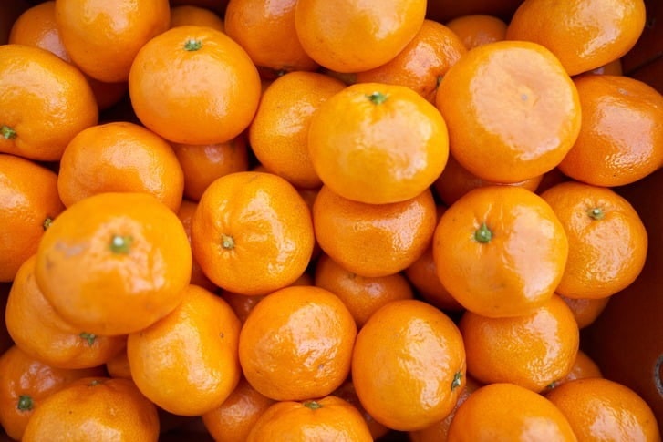 "제주감귤 즐겨 먹었는데 어쩌나"…농가 '초비상' 걸린 까닭