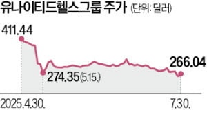 유나이티드헬스에 물린 서학개미