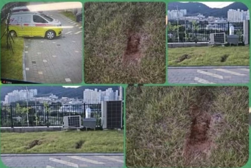 출처 = 온라인 커뮤니티 보배드림