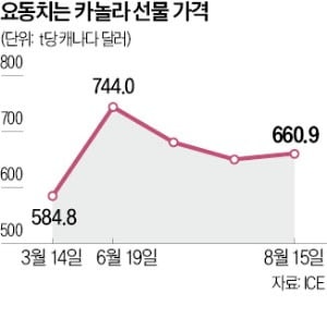 롤러코스터 타는 카놀라값…中·캐나다 보복 관세 영향