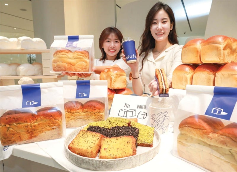 현대백화점, 자체 카페 브랜드 '틸화이트' 열어…스페셜티 커피·베이커리·미술 콘텐츠 결합