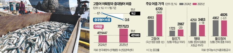 가뜩이나 비싼데…고등어 사러 마트 갔다가 깜짝 놀랐다