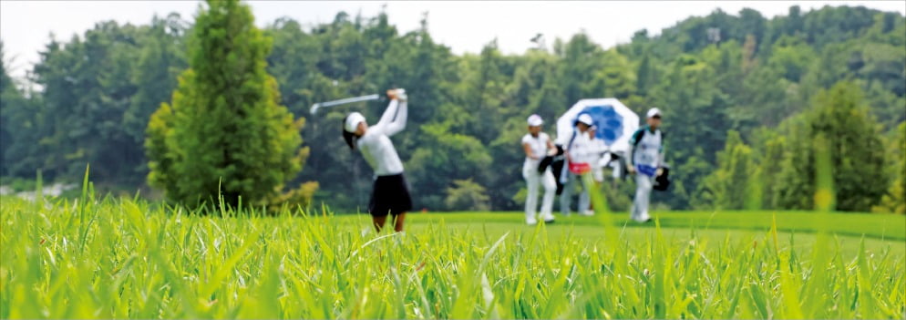 "페어웨이·그린 모두 완벽"…명품잔디 뽐낸 포천힐스