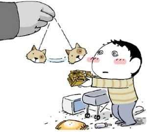 "유기동물 후원물품 사면 환급"…740명 울린 신종 사이버 사기