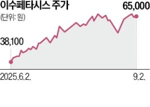 "外人 집중매수 종목 투자 주의"
