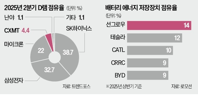 높아진 D램 점유율·세계 1위 꿰찬 ESS…中에 긴장하는 韓