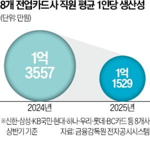 업황 부진에…카드사 1인당 생산성 15% '뚝'