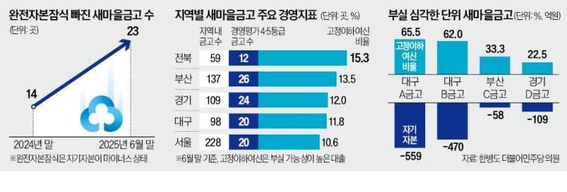 완전자본잠식 새마  을금고, 반년새 2배 늘었다