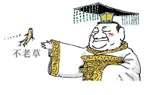 [천자칼럼] 독재자들의 '장수' 욕심