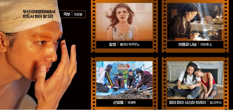 '경쟁 영화제'로 거듭난 BIFF…베니스·칸 달군 작품 쏟아진다