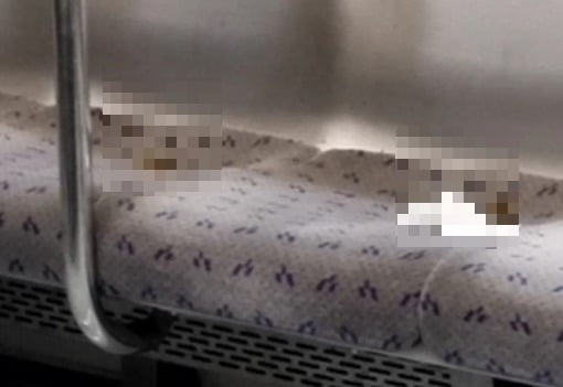 출처 = 온라인 커뮤니티