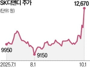 SK의 리밸런싱…한앤컴퍼니에 SK디앤디 넘겼다