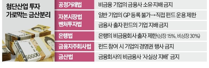 첨단산업 투자 발목잡는 '금산분리'…특례법 도입해 풀 듯