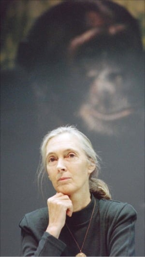 '침팬지의 어머니' 환경운동가 제인 구달 별세