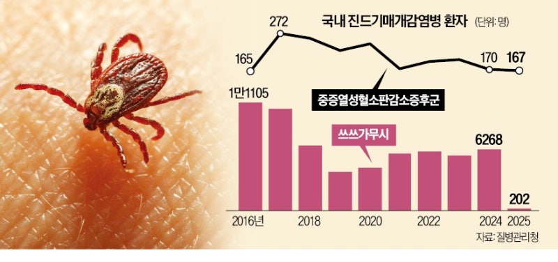 성묘·벌초 때 감염병 옮기는 진드기 주의보