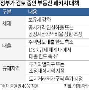보유세·대출 문턱 높이나 … 정부 '<b>부동산 패키지 대책</b>' 검토