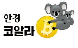 암호화폐 투자 뉴스레터 '코알라' 무료 구독하세요