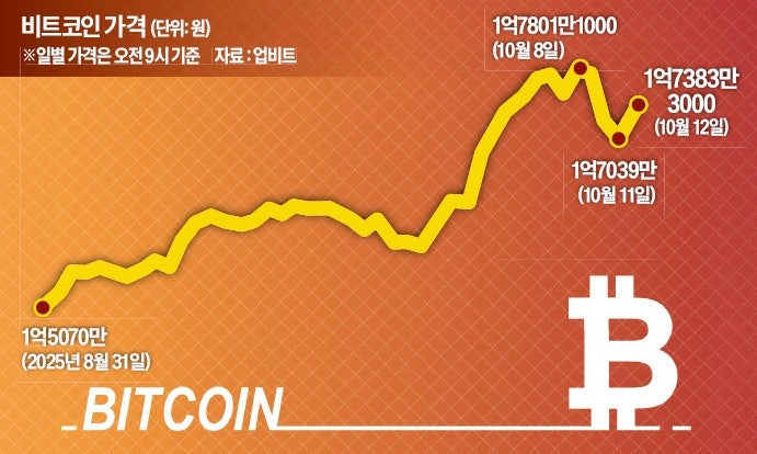널뛰는 비트코인 가격…"당분간 안갯속 국면 이어질 듯"