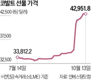 콩고 '수출쿼터 제한'에…코발트 값 40% '쑥'