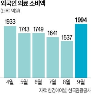 의료관광 열풍에 들썩이는 K미용기기株
