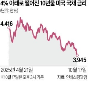 "안전벨트 매자"…금·美국채로 투자자 몰렸다