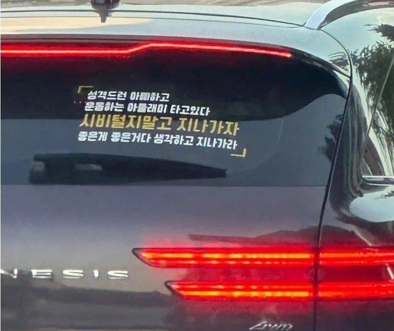 차에 이런 스티커 진짜 제정신인가?