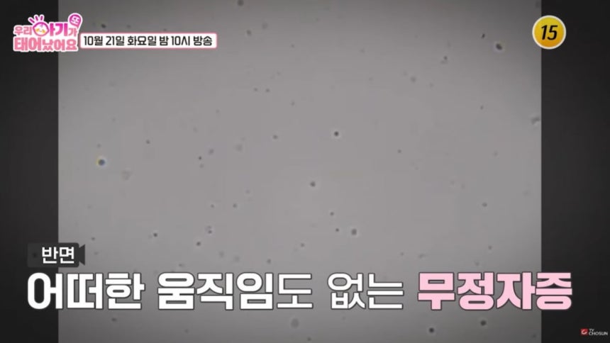 TV조선 방송화면