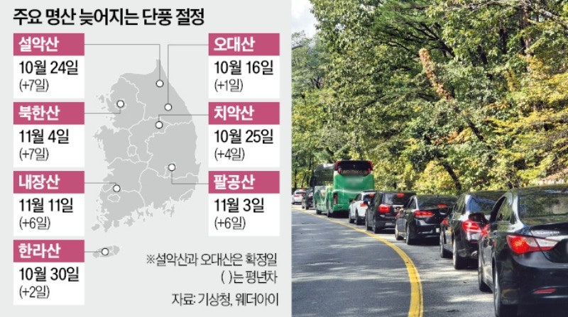 "그냥 호캉스 갈래요"…30대 직장인 '단풍놀이' 취소한 이유