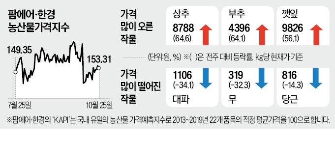 상추·깻잎…잎채소 가격 오름세