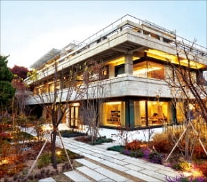 글로벌 �말차 열풍에…오설록 매출 '껑충'