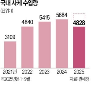 매출 250% 뛰었다…한국서 인기 폭발한 '日 제품' 뭐길래