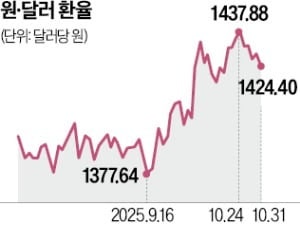 연 200억弗 대미 투자, 환율 상승 불가피